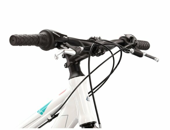 Bicykel Kross Evado 1.0 White/Turquoise Glossy 2022