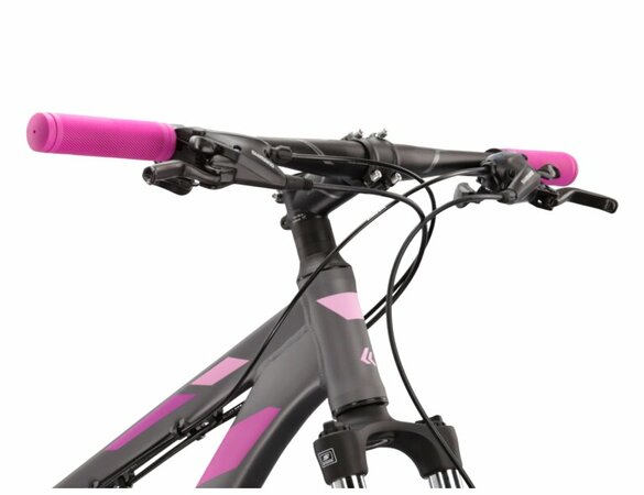 Bicykel Kross Lea 5.0 Graphite/Pink/Violet Matte 2022