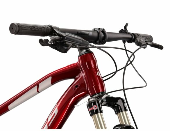 Bicykel Kross Level 6.0 Ruby/Silver Glossy 2022