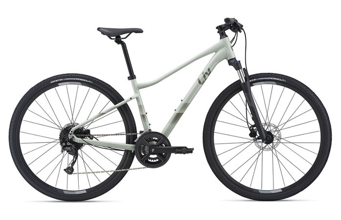 Bicykel Liv Rove 2 DD Desert Sage 2021