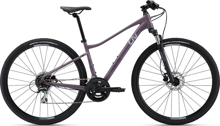 Bicykel Liv Rove 3 DD Purple Ash 2024