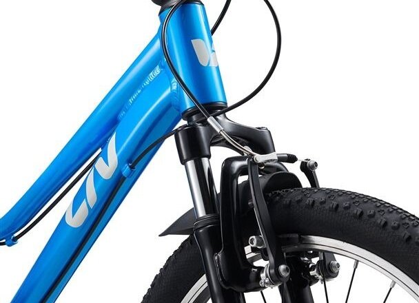 Bicykel Liv Tempt 20 Al Blue 2026
