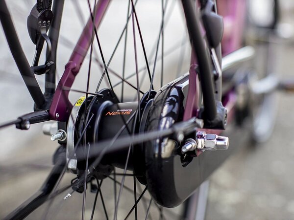 Bicykel Trek District 2 Equipped Lowstep Matte Mulberry 2022