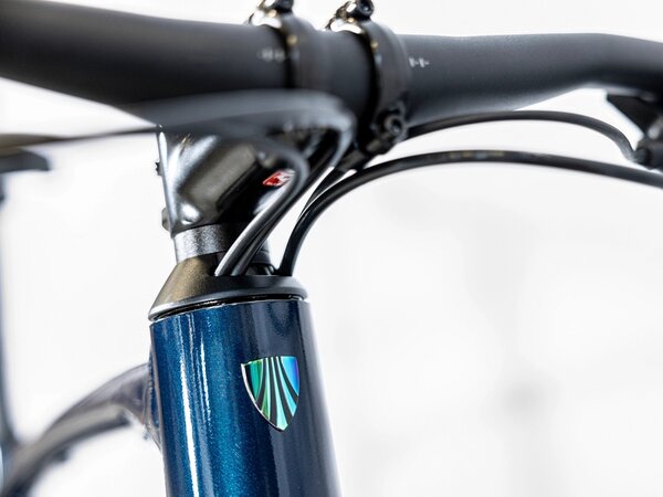 Bicykel Trek Dual Sport 2 Equipped Mulsanne 2023