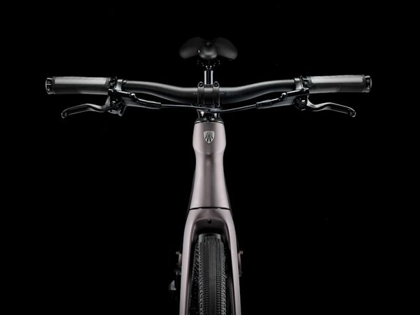 Bicykel Trek FX Sport 6 Carbon Matte Bronze Age/Deep Smoke 2026