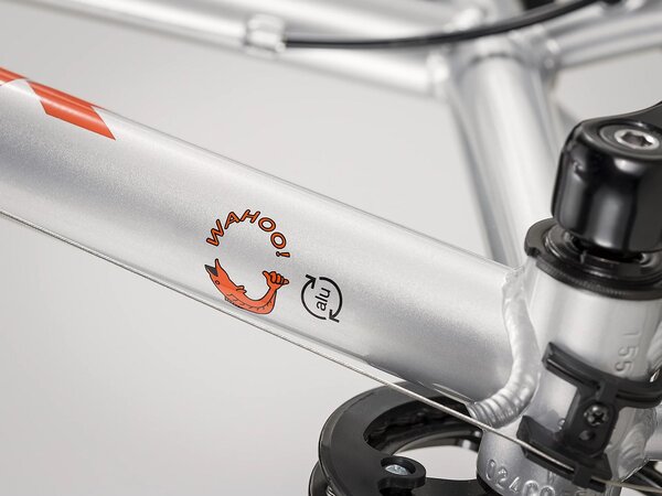 Bicykel Trek Wahoo 20 Quicksilver/Roarange 2022