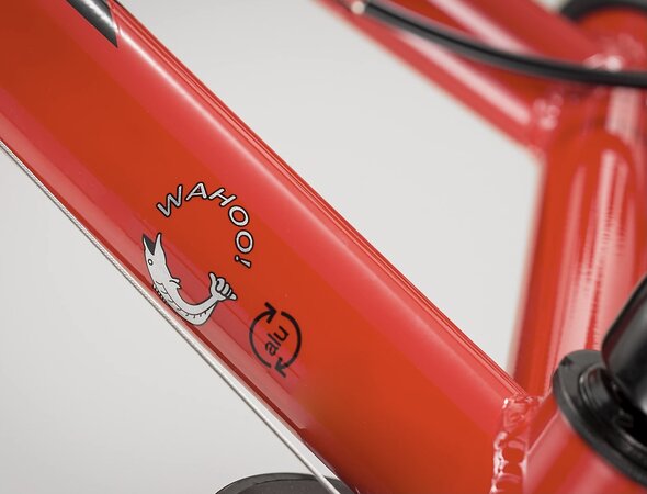 Bicykel Trek Wahoo 20 Viper Red/Trek Black 2022