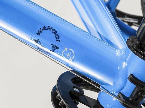 Bicykel Trek Wahoo 20 Waterloo Blue/Quicksilver 2022