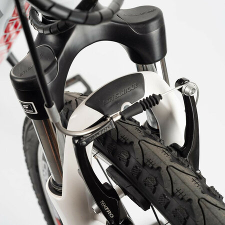 Elektrobicykel Crussis e-Cross lady 1.7 White/Red E 2022