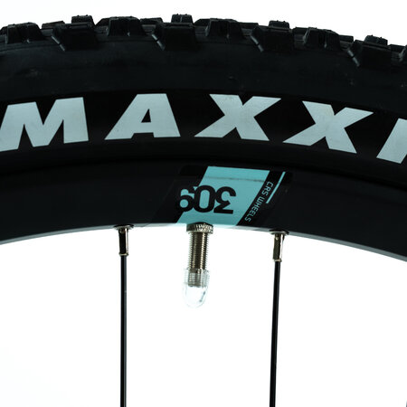 Elektrobicykel Crussis e-Fionna 10.9-M 2024