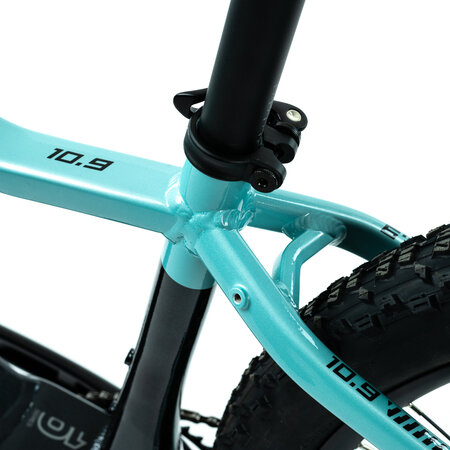 Elektrobicykel Crussis e-Fionna 10.9-M 2024