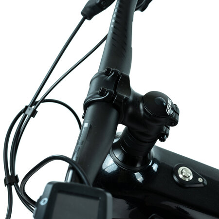 Elektrobicykel Crussis e-Fionna 10.9-M 2024