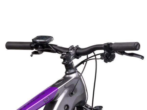 Elektrobicykel Crussis e-Fionna 9.10-(900 Wh) 2025