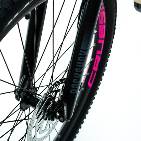 Elektrobicykel Crussis e-Fionna 9.9-M 2024