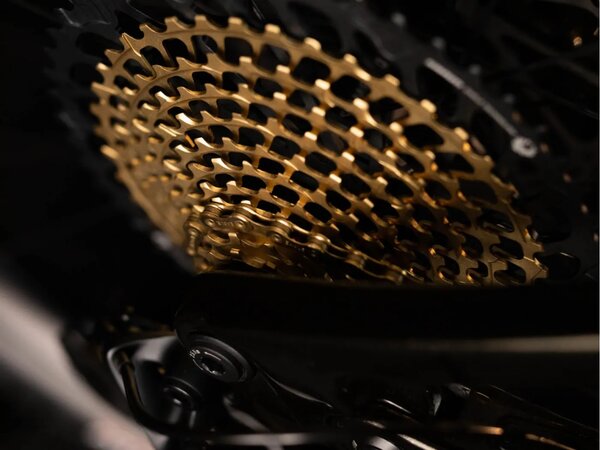 Elektrobicykel Crussis Legend 68 Bronze 2024