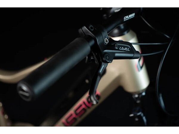 Elektrobicykel Crussis Pan-Fionna 8.8 M White/Pink 2023