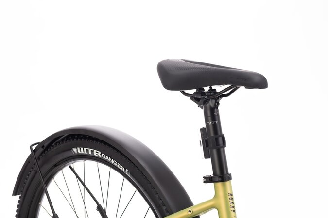 Elektrobicykel CTM Roxxy GX Allroad Matná Zlatá 2026