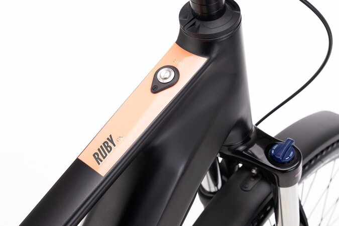 Elektrobicykel CTM Ruby GX Allroad Matná Čierna 2026