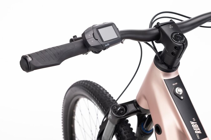 Elektrobicykel CTM Ruby GX Pro 29 Matná Staroružová 2026