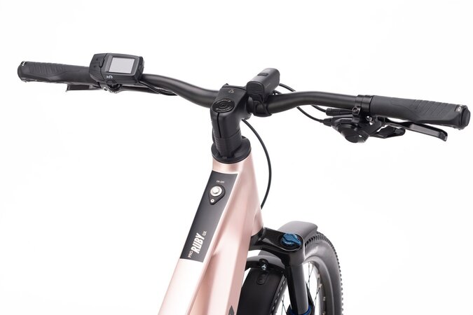 Elektrobicykel CTM Ruby GX Pro 29 Allroad Matná Staroružová 2026