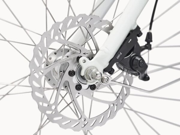 Elektrobicykel Electra Loft Go! 7D EQ Step-Thru Stardust 2025