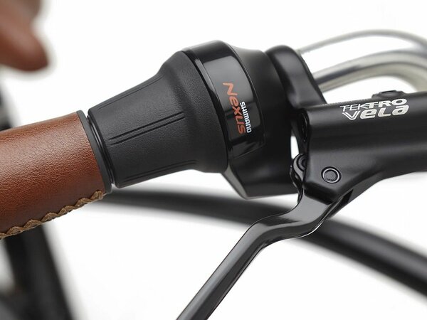 Elektrobicykel Electra Townie Go! 5i Step-Over Ebony 2025