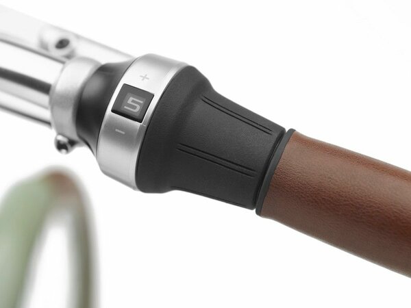 Elektrobicykel Electra Townie Go! 5i Step-Thru Green Tea 2025