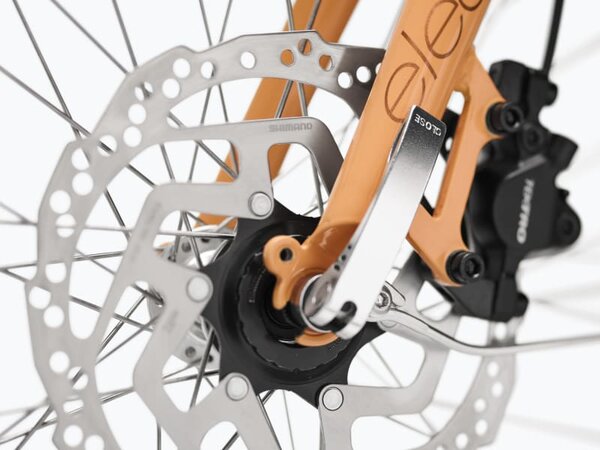 Elektrobicykel Electra Townie Go! 5i Step-Thru Apricot 2025