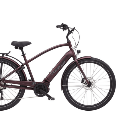Elektrobicykel Electra Townie Path Go! 10D EQ Step-Over Matte Oxblood 2025