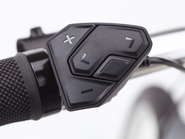 Elektrobicykel Electra Townie Path Go! 5i Step-Thru Holographic E 2022