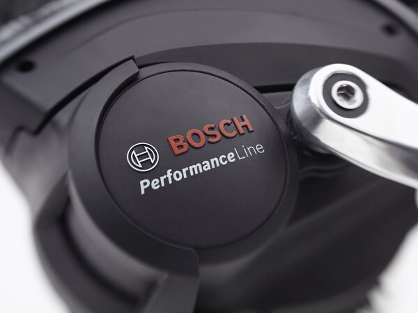 Elektrobicykel Electra Townie Path Go! 5i Step-Thru Matte Rosewood 2025