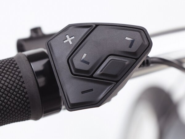 Elektrobicykel Electra Townie Path Go! 5i Step-Thru Matte Rosewood 2025