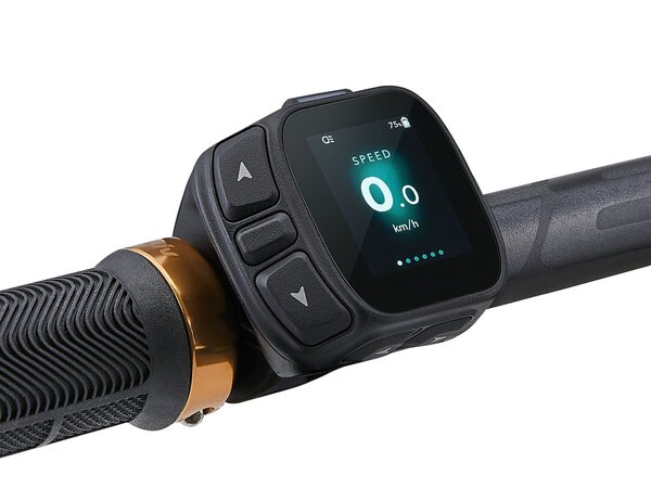 Elektrobicykel Liv Embolden E+ 1 Pale Moss 2027