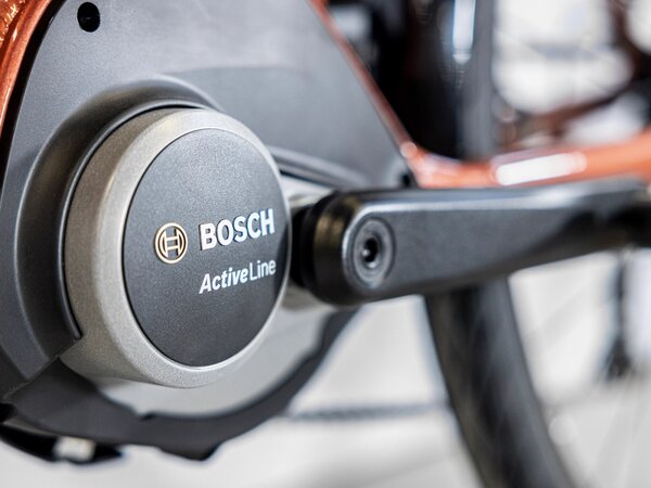 Elektrobicykel Trek Verve+ 1 Lowstep 300Wh Penny Flake 2023