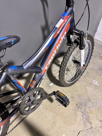 Testovaný Capriolo Diavolo 200 FS Grey/Red 2021