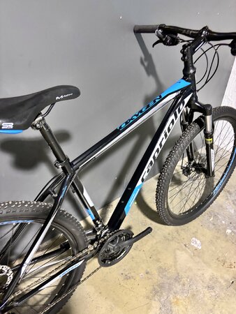 Testovaný bicykel Capriolo Oxygen Black/Blue/White 2020