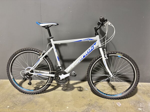 Testovaný Bicykel Capriolo Passion Man White/Blue/Grey 2020