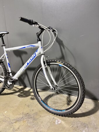 Testovaný Bicykel Capriolo Passion Man White/Blue/Grey 2020