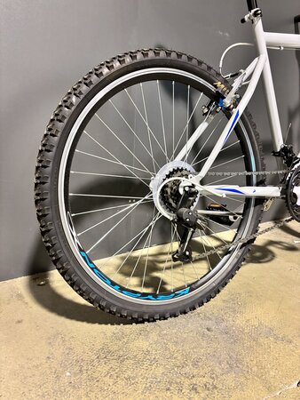 Testovaný Bicykel Capriolo Passion Man White/Blue/Grey 2020