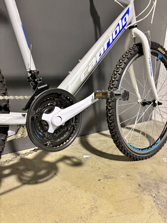 Testovaný Bicykel Capriolo Passion Man White/Blue/Grey 2020