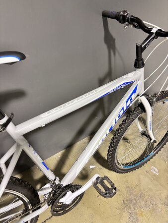 Testovaný Bicykel Capriolo Passion Man White/Blue/Grey 2020