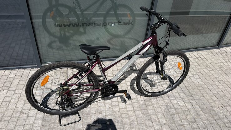 Testovaný bicykel CTM Suzzy 1.0 Tmavoružová Perleť/Sivá 2023
