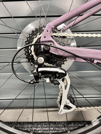 Testovaný bicykel Liv Rove 3 DD Purple Ash 2024