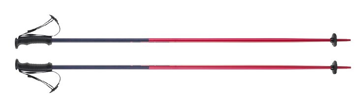 Lyžiarske palice Elan SpeedRod Pink