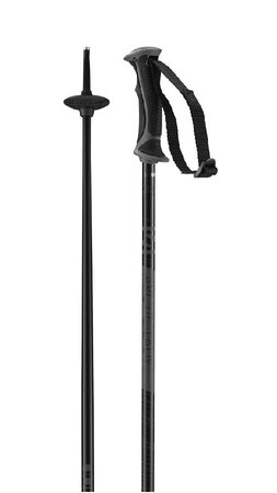 Lyžiarske palice Salomon Arctic Lady Black Grey 23/24