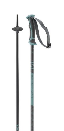 Lyžiarske palice Salomon Arctic Lady Grey/Green 20/21