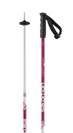 Lyžiarske palice Salomon Brigade Jr Pink 20/21