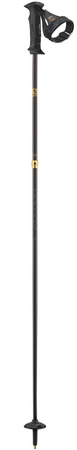 Lyžiarske palice Salomon Element Carbon Ergo S3 Black 19/20
