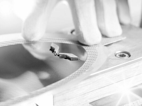 Lyže Volant Champagne + M 11 GW 22/23