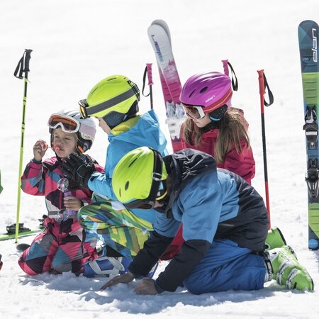 Lyže Elan Maxx QS + EL 7.5 20/21